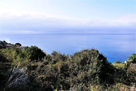 Helårsgrund i Ventimiglia, Imperia, Ventimiglia - € 70.000 | Ref: 83497519 - foto 10