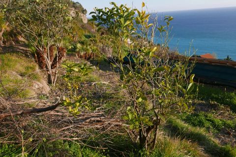 Helårsgrund i Ventimiglia, Imperia, Ventimiglia - € 70.000 | Ref: 83497519 - foto 12