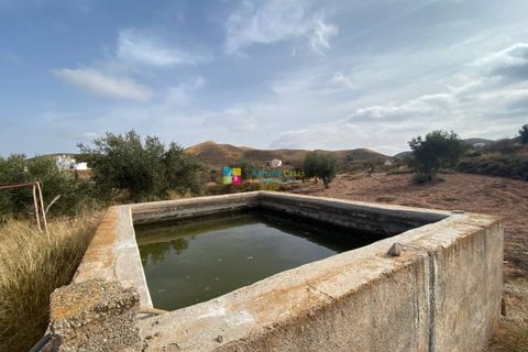 Landejendom i Albox, Almeria, Albox - € 194.500 | Ref: 2501 - foto 4