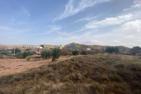 Landejendom i Albox, Almeria, Albox - € 194.500 | Ref: 2501 - foto 27