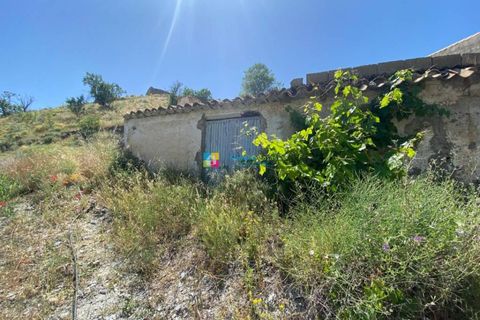 Landejendom i Taberno, Almeria, Taberno - € 169.000 | Ref: 2047 - foto 35