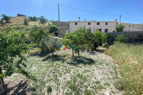 Landejendom i Taberno, Almeria, Taberno - € 169.000 | Ref: 2047 - foto 37