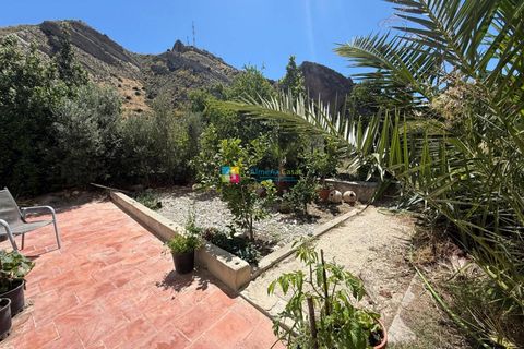 Landejendom i Albanchez, Almeria, Albanchez - € 112.000 | Ref: 2936 - foto 4