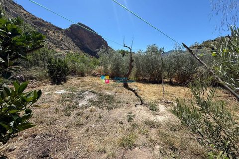 Landejendom i Albanchez, Almeria, Albanchez - € 112.000 | Ref: 2936 - foto 26