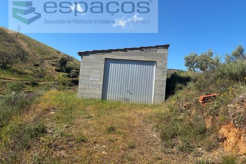 Terra a Silvares, Castelo Branco, Silvares - € 14.000 | Ref: 5509/CP-AF - foto 2