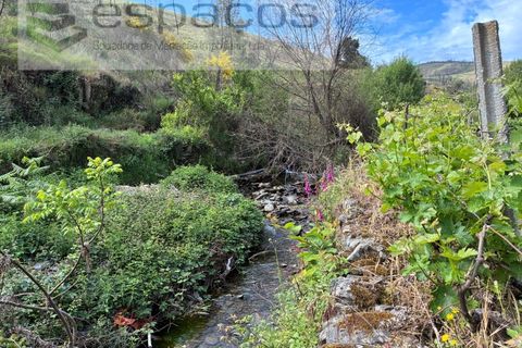 Terra a Silvares, Castelo Branco, Silvares - € 14.000 | Ref: 5509/CP-AF - foto 3