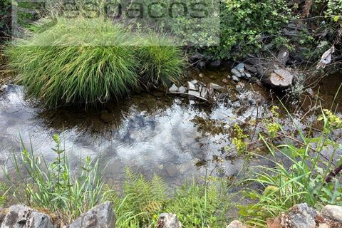 Terra a Silvares, Castelo Branco, Silvares - € 14.000 | Ref: 5509/CP-AF - foto 4