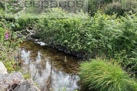 Terra a Silvares, Castelo Branco, Silvares - € 14.000 | Ref: 5509/CP-AF - foto 5