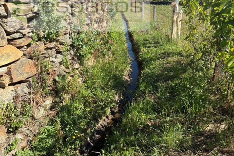 Terra a Silvares, Castelo Branco, Silvares - € 14.000 | Ref: 5509/CP-AF - foto 6