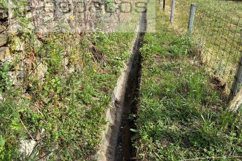 Terra a Silvares, Castelo Branco, Silvares - € 14.000 | Ref: 5509/CP-AF - foto 7