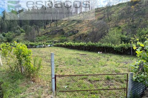 Terra a Silvares, Castelo Branco, Silvares - € 14.000 | Ref: 5509/CP-AF - foto 8