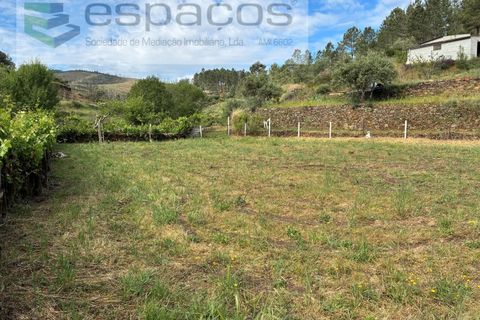 Terra a Silvares, Castelo Branco, Silvares - € 14.000 | Ref: 5509/CP-AF - foto 9