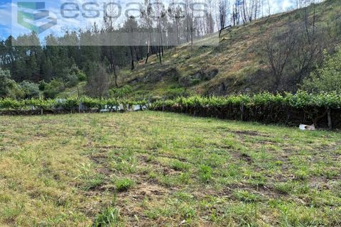 Terra a Silvares, Castelo Branco, Silvares - € 14.000 | Ref: 5509/CP-AF - foto 10