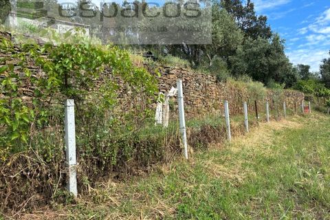 Terra a Silvares, Castelo Branco, Silvares - € 14.000 | Ref: 5509/CP-AF - foto 13