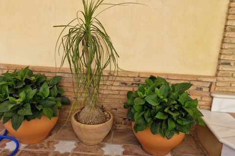 Villa a Turre, Almeria, Turre - € 370.000 | Ref: 2172 - foto 9