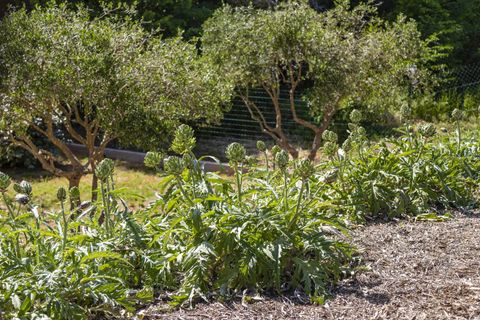 Villa a La Motte, Var, La Motte - € 1.300.000 | Ref: HH-16172362 - foto 30