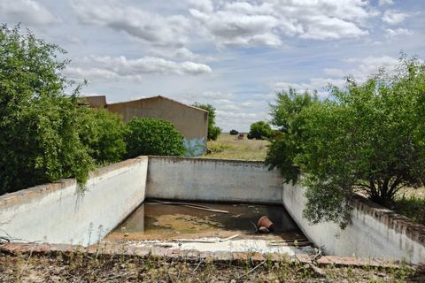 Helårsgrund i Nambroca, Toledo, Nambroca - € 1.599.000 | Ref: EXP14312/8930 - foto 7