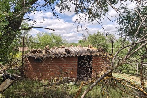 Helårsgrund i Nambroca, Toledo, Nambroca - € 1.599.000 | Ref: EXP14312/8930 - foto 19