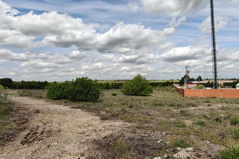 Helårsgrund i Nambroca, Toledo, Nambroca - € 1.599.000 | Ref: EXP14312/8930 - foto 26