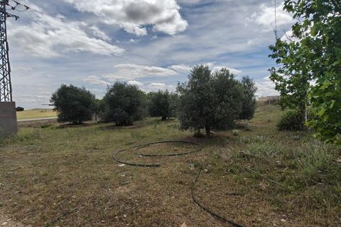 Helårsgrund i Nambroca, Toledo, Nambroca - € 1.599.000 | Ref: EXP14312/8930 - foto 32