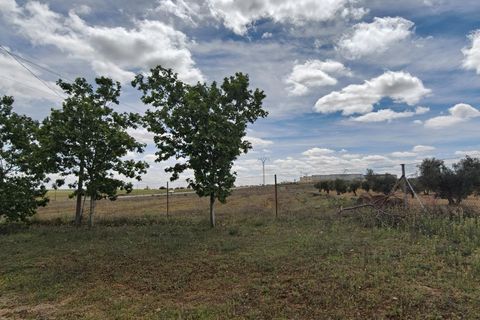 Helårsgrund i Nambroca, Toledo, Nambroca - € 1.599.000 | Ref: EXP14312/8930 - foto 35