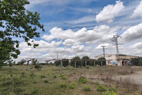 Helårsgrund i Nambroca, Toledo, Nambroca - € 1.599.000 | Ref: EXP14312/8930 - foto 38