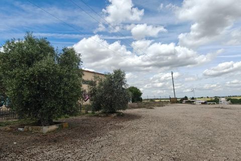 Helårsgrund i Nambroca, Toledo, Nambroca - € 1.599.000 | Ref: EXP14312/8930 - foto 42