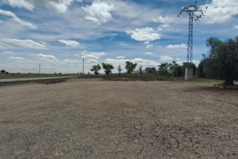 Helårsgrund i Nambroca, Toledo, Nambroca - € 1.599.000 | Ref: EXP14312/8930 - foto 44