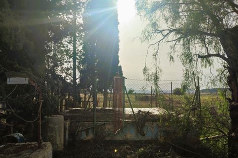 Landejendom i Jumilla, Murcia, Jumilla - € 108.000 | Ref: EXP14279/8930 - foto 12