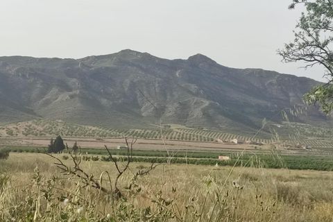Landejendom i Jumilla, Murcia, Jumilla - € 108.000 | Ref: EXP14279/8930 - foto 14