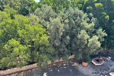 Villa a Candelaria, Tenerife, Candelaria - € 1.100.000 | Ref: EXP14316/8930 - foto 24