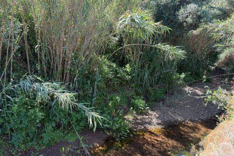 Helårsgrund i Lagos, Faro, Lagos - € 470.000 | Ref: 878804 - foto 6