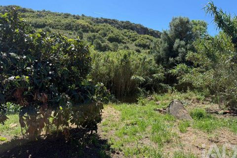 Helårsgrund i Lagos, Faro, Lagos - € 470.000 | Ref: 878804 - foto 7