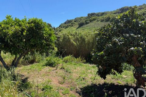 Helårsgrund i Lagos, Faro, Lagos - € 470.000 | Ref: 878804 - foto 14