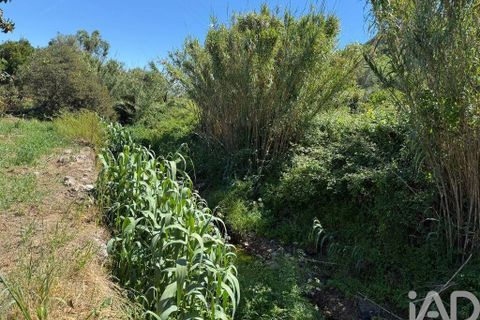 Helårsgrund i Lagos, Faro, Lagos - € 470.000 | Ref: 878804 - foto 15