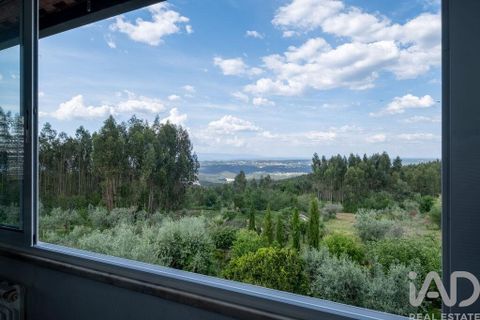 Byhus i Arganil, Coimbra, Arganil - € 295.000 | Ref: 909718 - foto 17