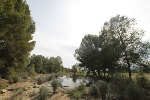 Finca i Monovar, Alicante, Monovar - € 349.995 | Ref: MCO-54982 - foto 2