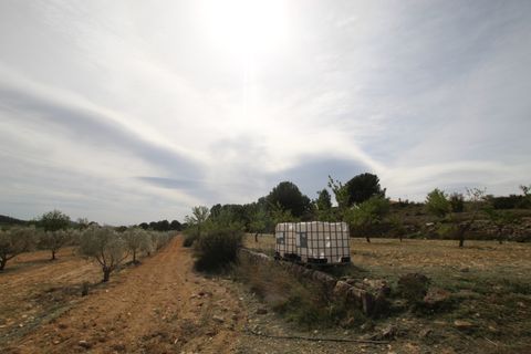 Finca i Monovar, Alicante, Monovar - € 349.995 | Ref: MCO-54982 - foto 7