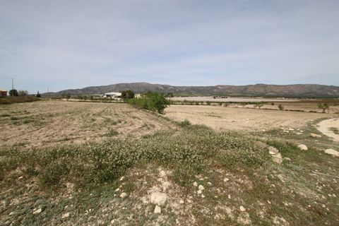 Finca i Monovar, Alicante, Monovar - € 349.995 | Ref: MCO-54982 - foto 13