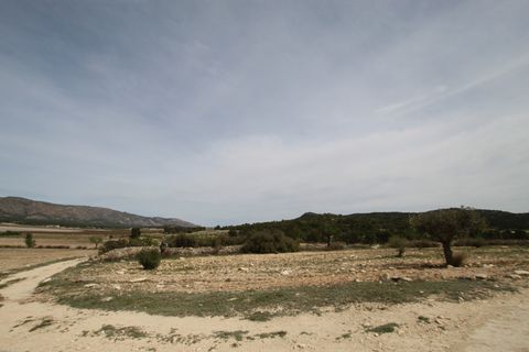 Finca i Monovar, Alicante, Monovar - € 349.995 | Ref: MCO-54982 - foto 14