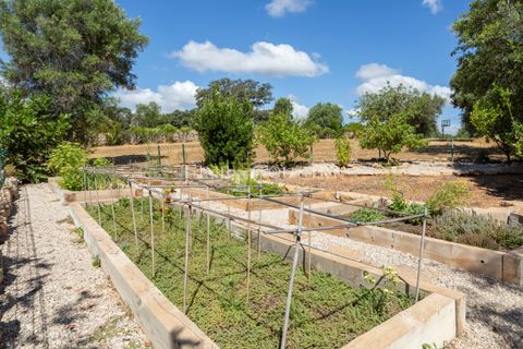 Villa a Tavira, Faro, Tavira - € 2.750.000 | Ref: TVR4485Z - foto 49