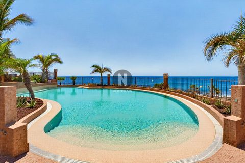Appartement - Palm Mar, Tenerife - photo 1