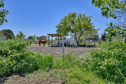 Villa i Aigues-Mortes, Gard, Aigues-Mortes - € 1.365.000 | Ref: HH-16161443 - foto 2