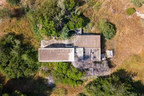 Helårsgrund i Jesus, Ibiza, Jesus - € 6.500.000 | Ref: 7796 - foto 4