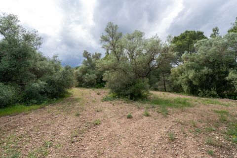Finca i Tortosa, Tarragona, Tortosa - € 40.000 | Ref: 364 - foto 13