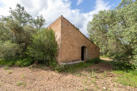 Finca i Tortosa, Tarragona, Tortosa - € 40.000 | Ref: 364 - foto 1