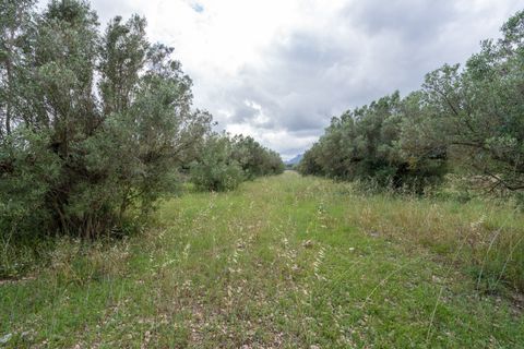 Finca i Tortosa, Tarragona, Tortosa - € 40.000 | Ref: 364 - foto 14