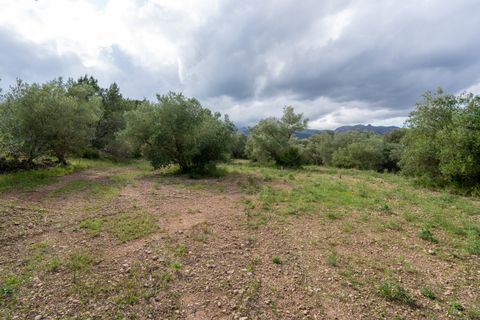 Finca i Tortosa, Tarragona, Tortosa - € 40.000 | Ref: 364 - foto 12