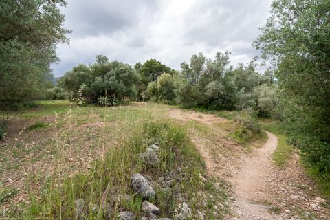Finca i Tortosa, Tarragona, Tortosa - € 40.000 | Ref: 364 - foto 10
