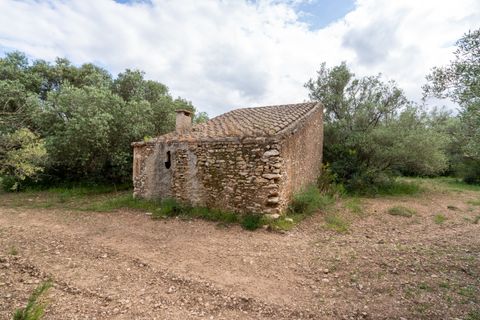 Finca i Tortosa, Tarragona, Tortosa - € 40.000 | Ref: 364 - foto 5